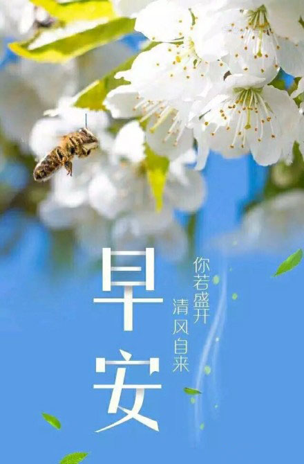 一花一树一坦途是哪首歌的歌词_山西融智聚科贸有限公司_iphone有耳机插孔吗