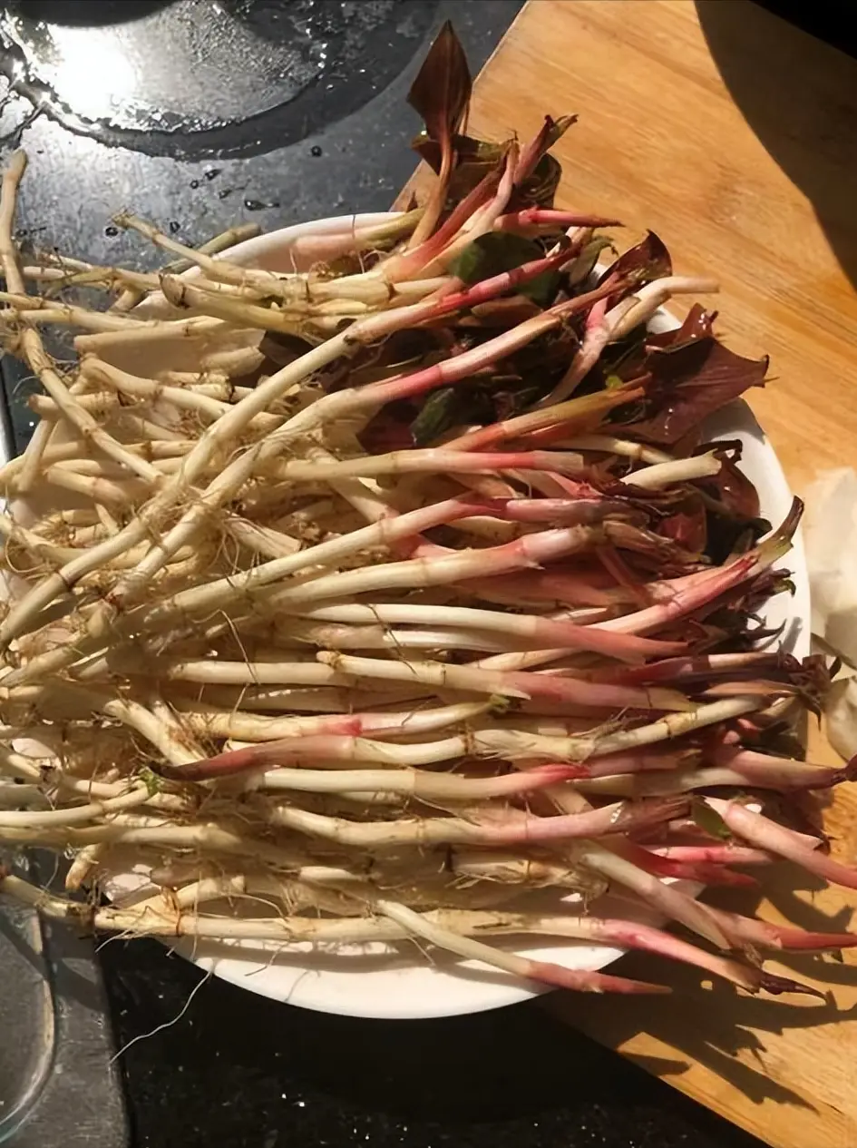 的手游戏_比较重口味的手机游戏_10大手机游戏