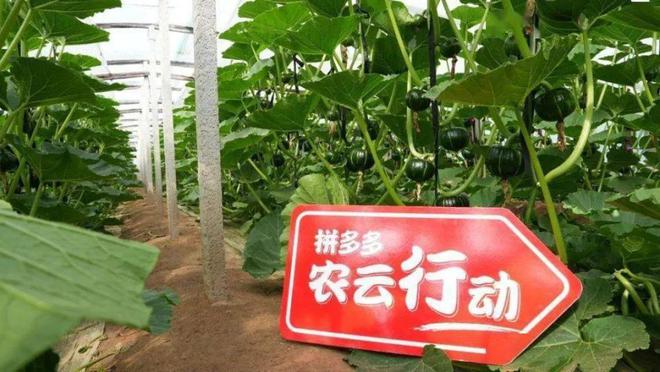 拼多多怎么多件一起买-拼多多多件一起买：社交电商模式下的购物