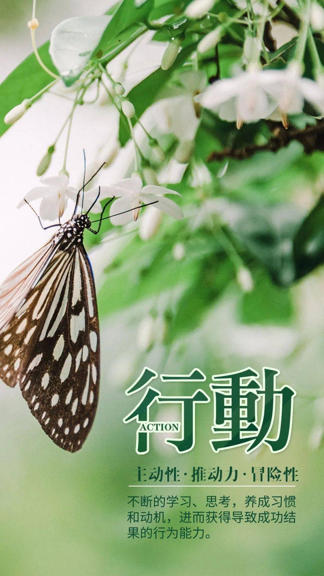 神击巴哈姆特全卡图_神击巴哈姆特wiki_神击的巴哈姆特