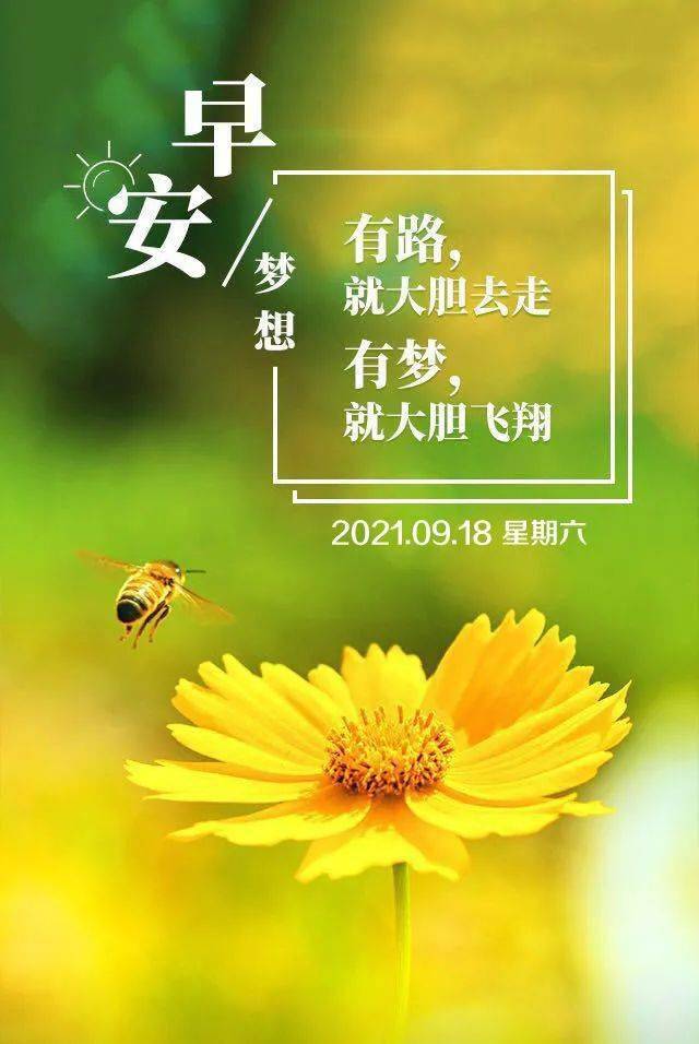 神击的巴哈姆特_神击巴哈姆特全卡图_神击巴哈姆特wiki