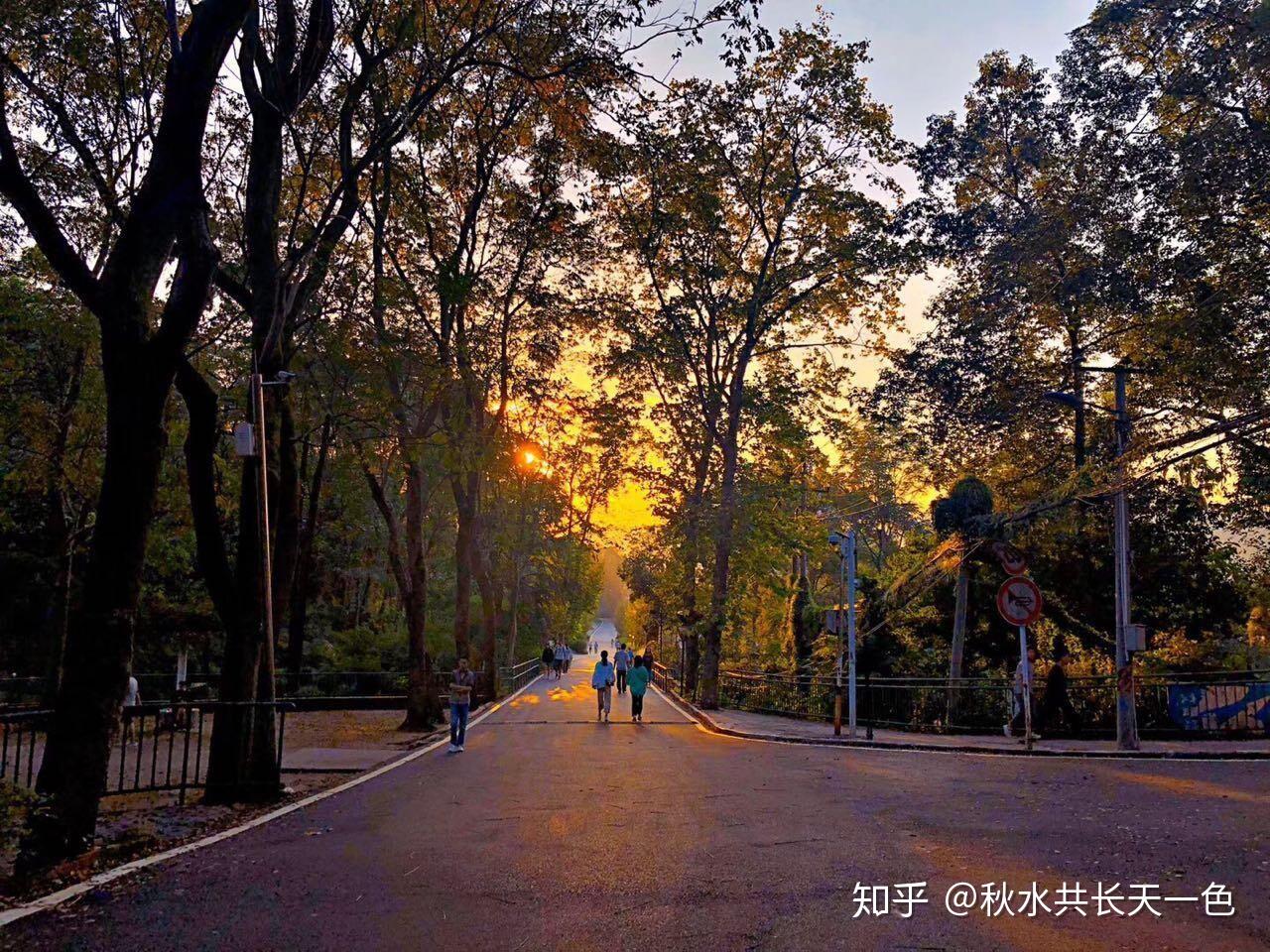 刀剑神域优纪触手_优纪_优宅莽荒纪动画版第二集