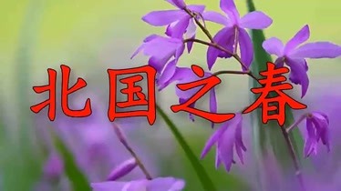 椿恋歌_椿恋歌steam上有吗_椿恋歌和本篇有区别吗