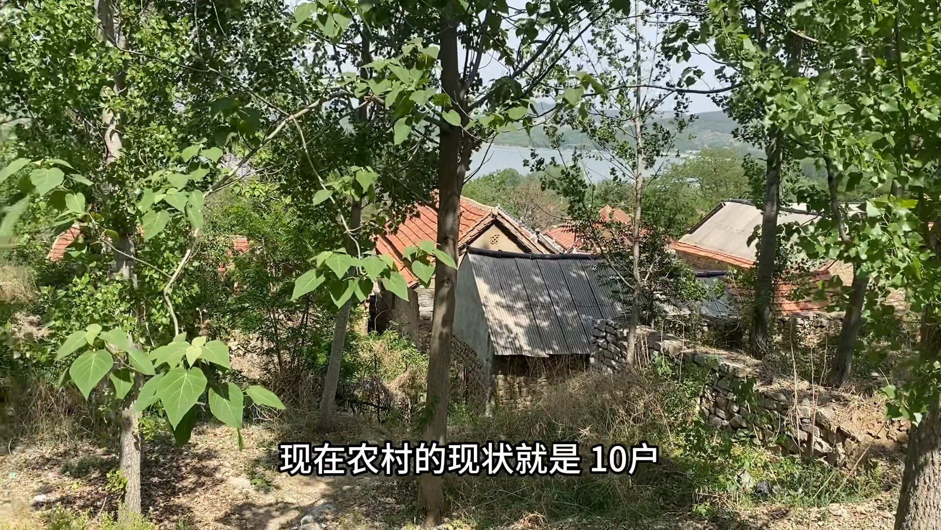 鬼灭锻刀村篇_鬼灭之刃锻刀村篇高清_鬼灭之刃里的锻刀大师