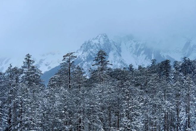 凌雪阁_凌雪阁_凌雪阁