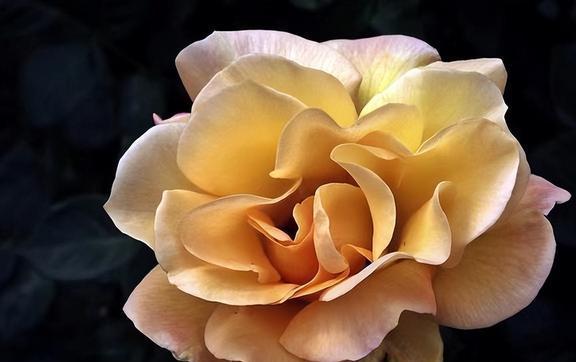 打点手机好游戏有哪些_不打游戏好一点的手机_打点手机好游戏的软件