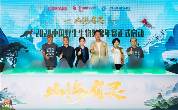 竹千代_竹千代是德川家康吗_竹千代阿福结局