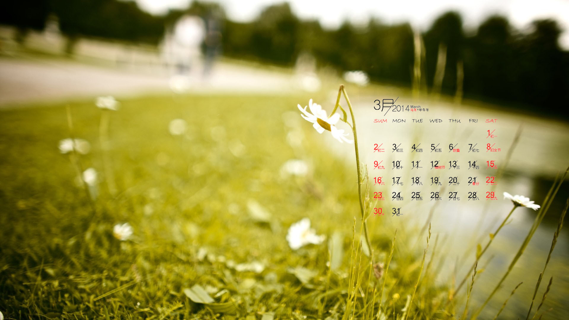 2013年3月15日_那年有润月年_月日年还是日月年