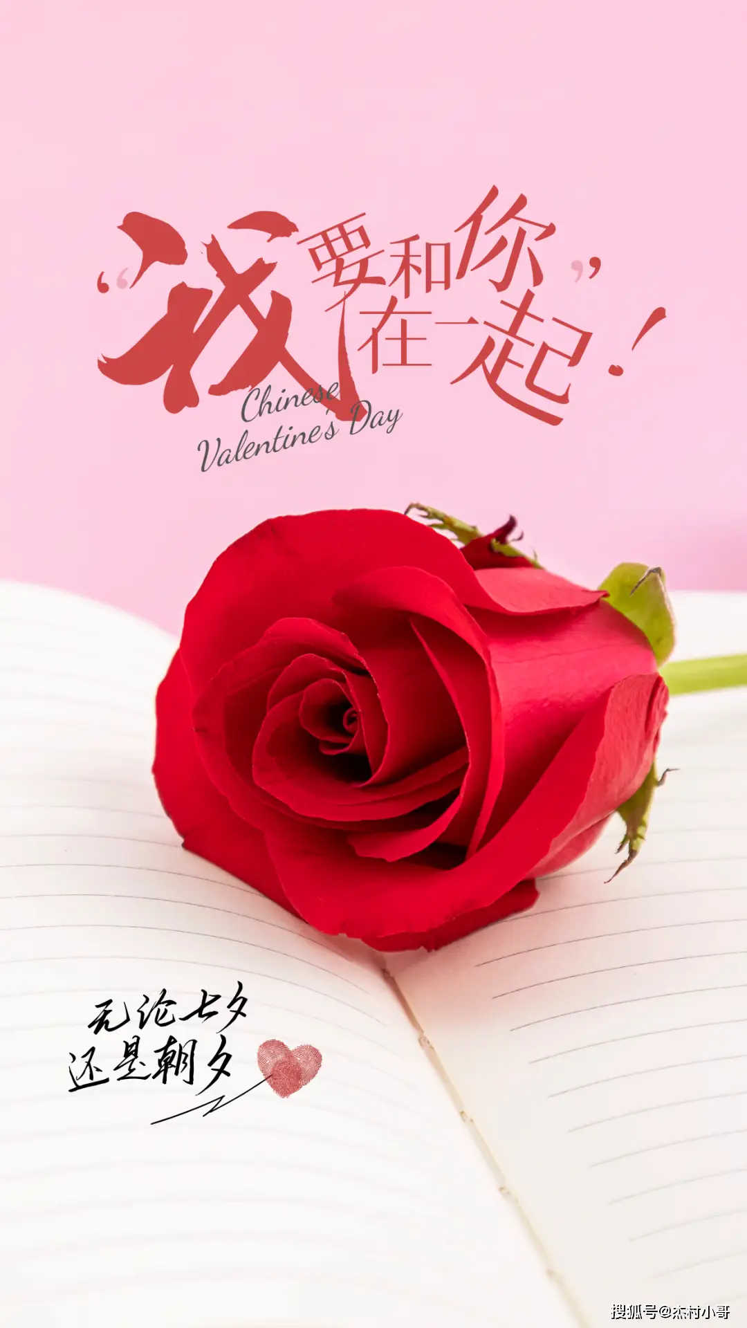 9月16_月字旁的字有哪些_月亮的拼音