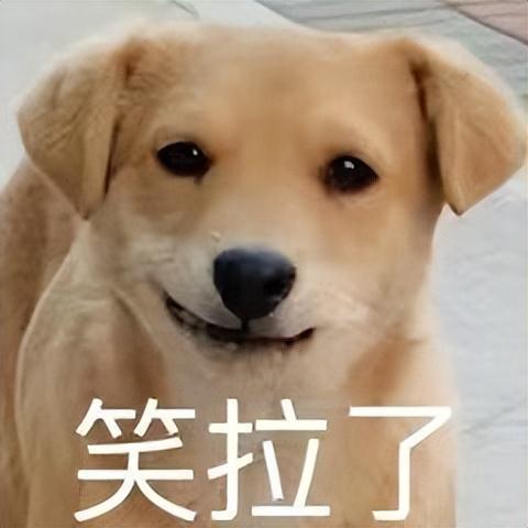 高通骁龙870游戏手机_高通骁龙870玩游戏怎么样_高通骁龙870玩游戏卡不卡