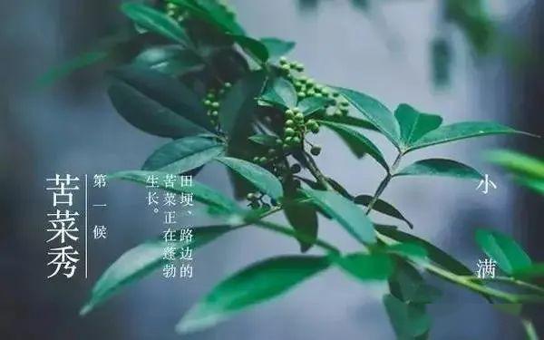 丁次：生活中的小确幸，简单就是幸福的味道