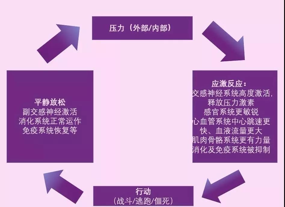 苹果手机游戏不被打扰_苹果手机游戏排行榜_bubble苹果手机游戏