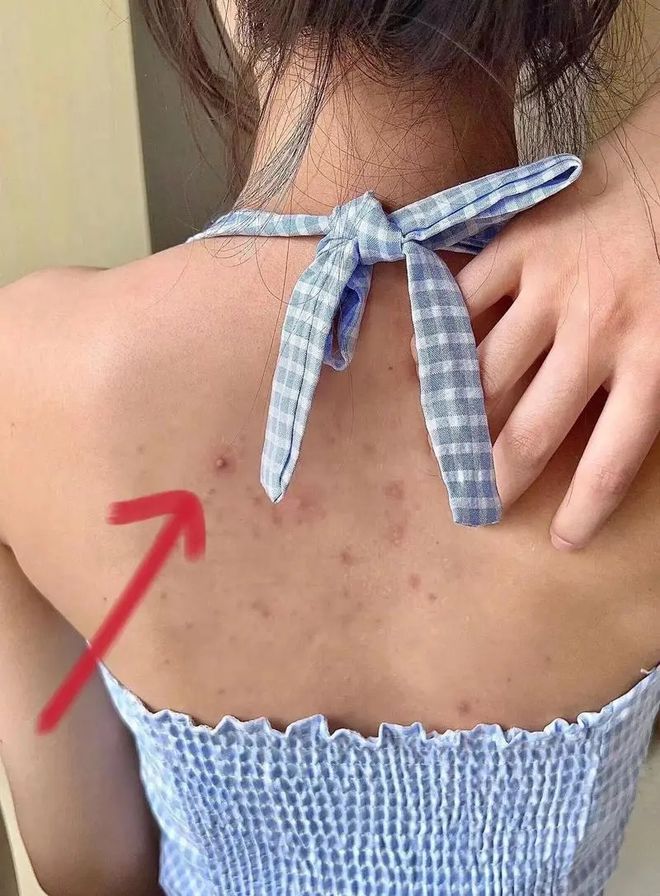 电子驾照查询_电子驾照在哪里查询_驾照电子信息查询