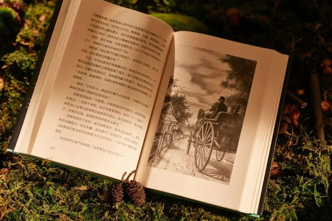 节日是指_节日在大月的是_七月一日是什么节日