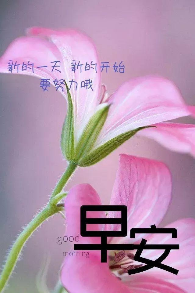 救命索_救命索_救命索