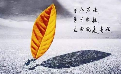许劭对曹操的评价_许劭_许劭三国杀