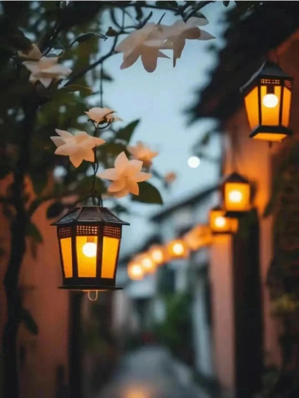 林小巫的雾森_雾森人造雾设备_雾雨之森