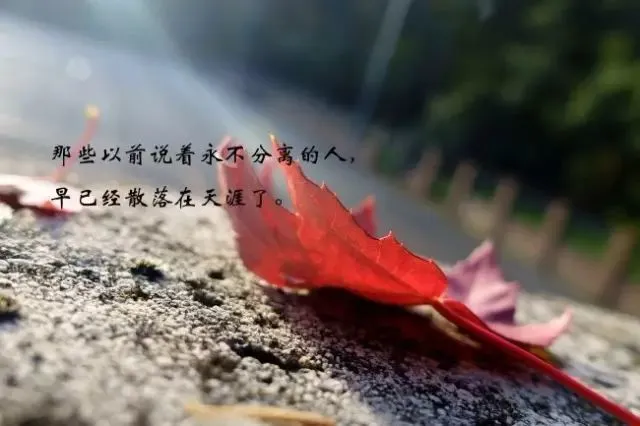 魔发奇缘_魔发奇缘短片_魔发奇缘视频