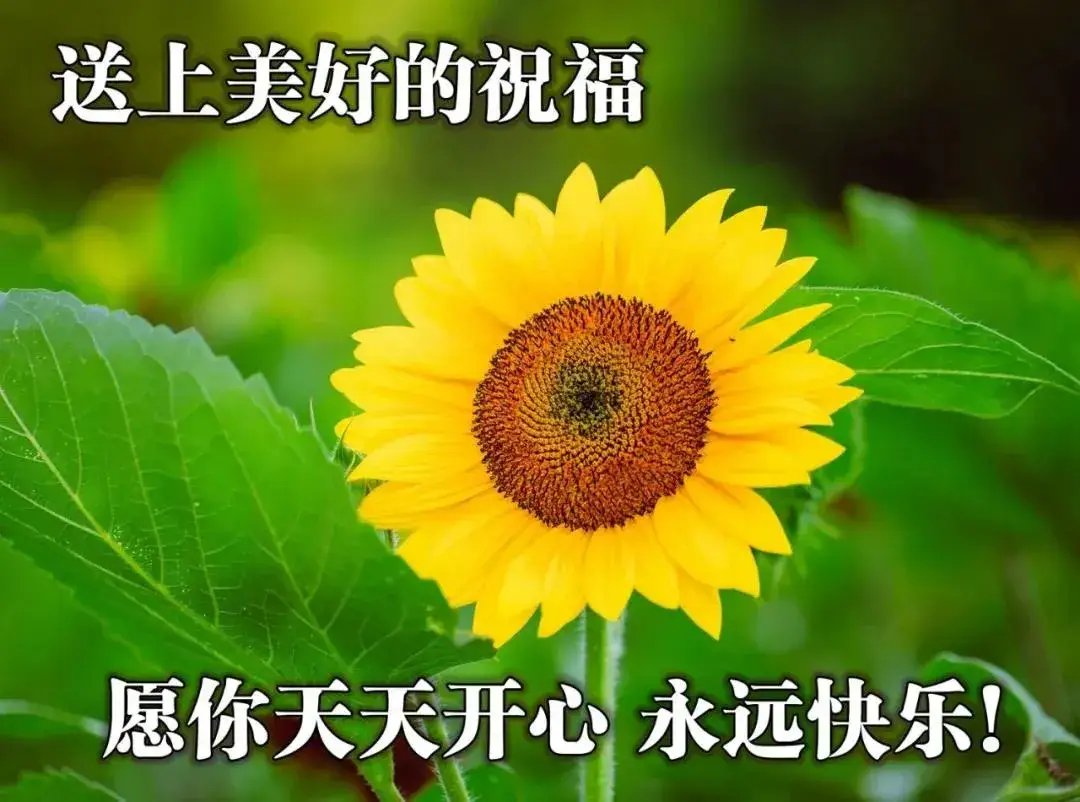 稻妻地灵龛有什么_稻妻地灵龛之钥_稻妻地灵龛