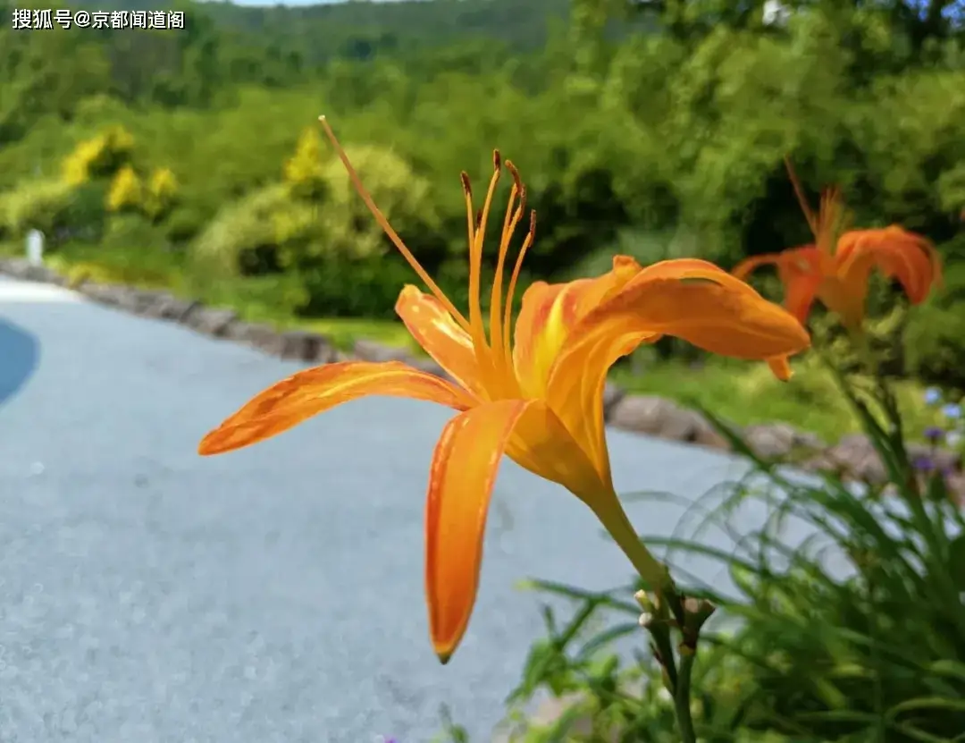 有球磨川禊做主角的小说_球磨川禊动画出场_球磨川禊