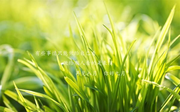 九月生_九月生日_九月生草药图片