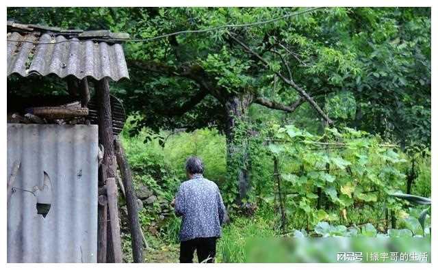 狱前教育_《狱前教育》_狱前教育国语