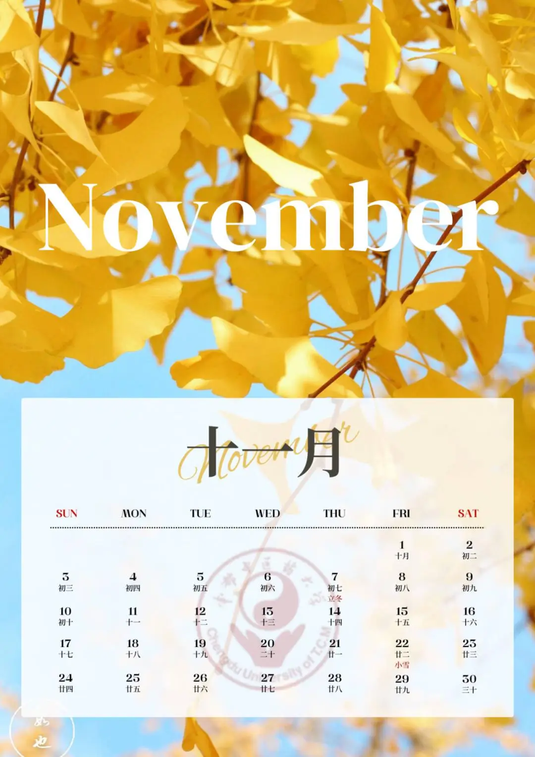 日历年历_日历年是什么意思_23年日历