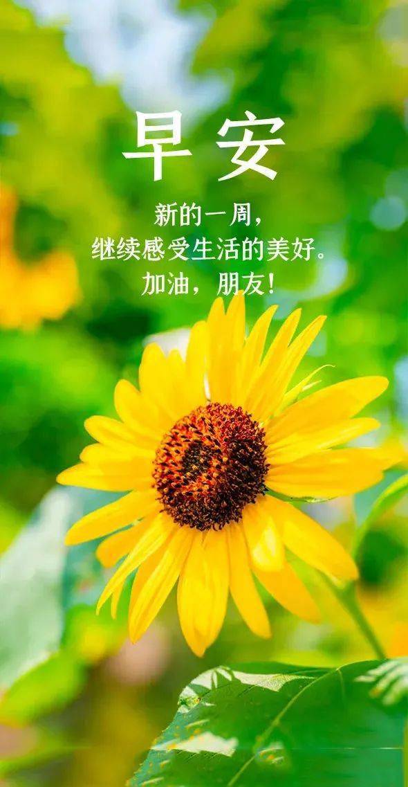 月日是什么日子_月日是啥意思_11月29日是什么日子