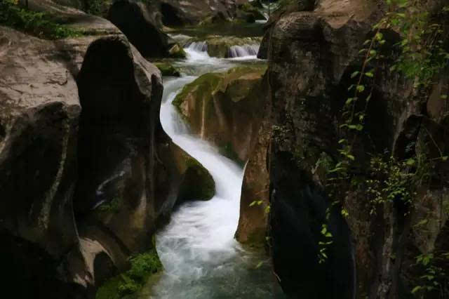 绿宝石水花_绿宝石水花是什么意思_水绿色宝石