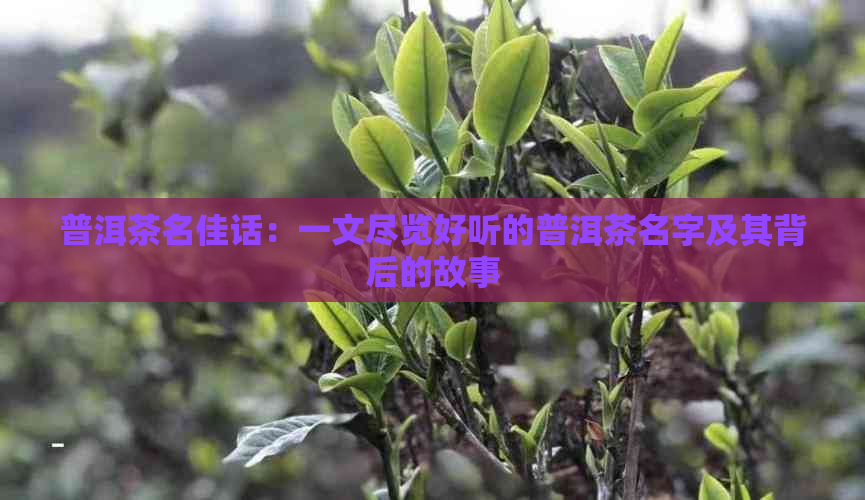 谷风长道_谷风长道第一部喜欢谁_谷风长道喜欢的人