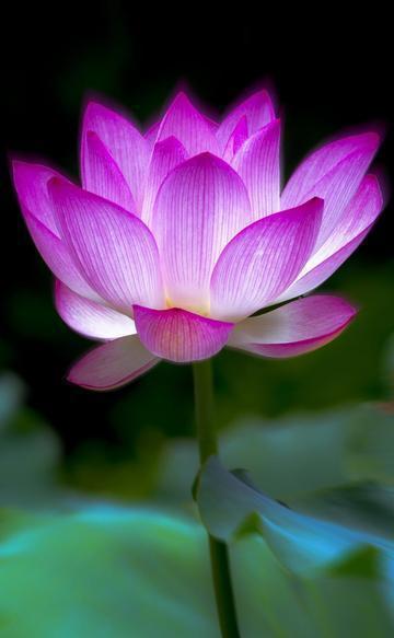 清明节一天放几天假_清明节放1天_清明节放一天