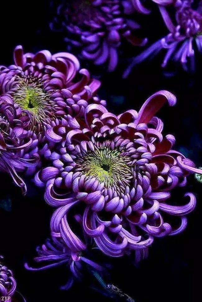 清明节一天放几天假_清明节放一天_清明节放1天