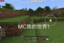手机单机游戏用哪个app_手机网络游戏单机版_不用网络的单机手机游戏