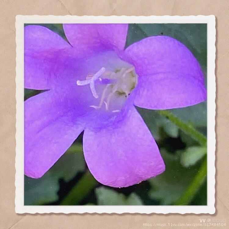 雨音_雨音_雨音