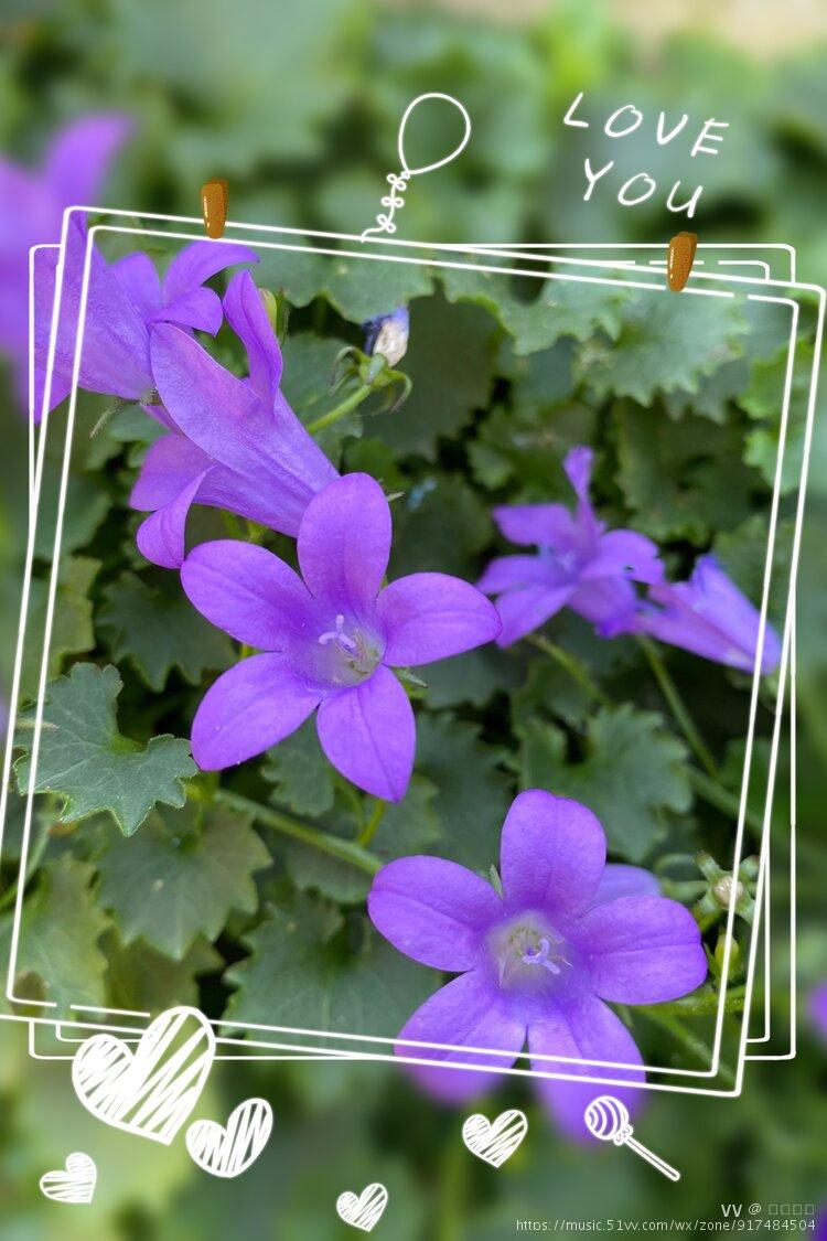 雨音_雨音_雨音