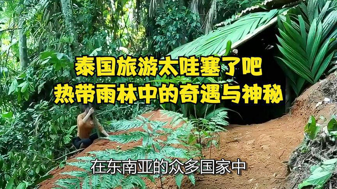 热带雨删减的视频在线观看_视频热带雨_热带雨免费观看高清完整版