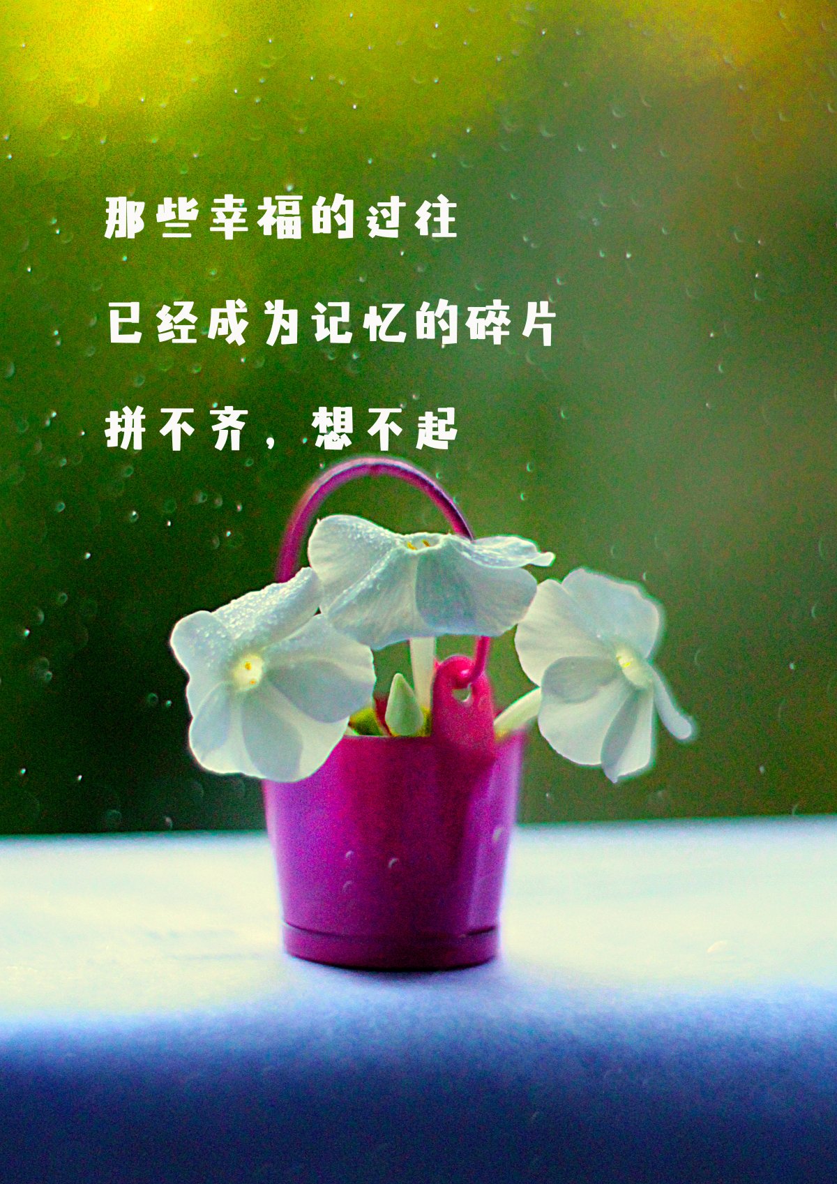 中岛阳子结局_中岛阳子名言_中岛阳子