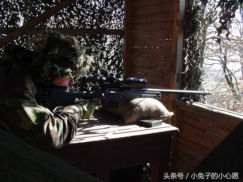 单挑awm手机游戏_单挑手机游戏有哪些_单挑的手机游戏