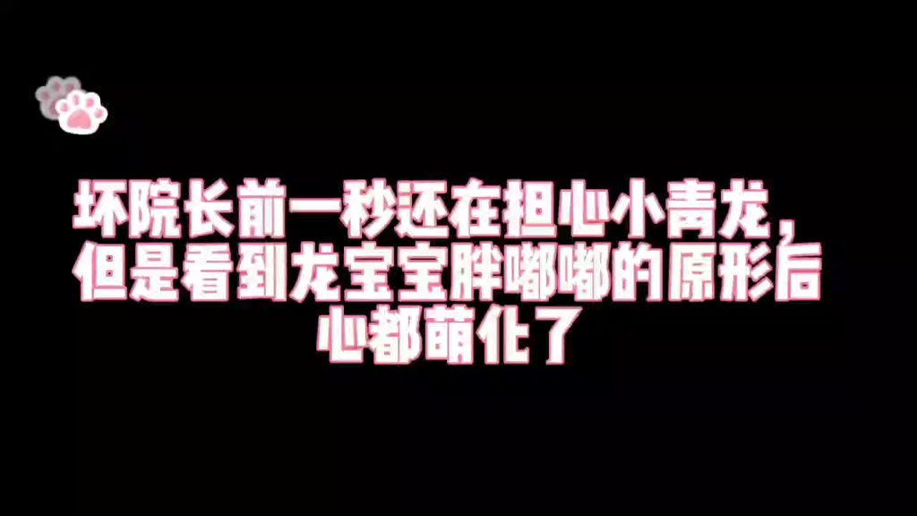 仓鼠用手机玩游戏_仓鼠玩手机游戏用什么软件_仓鼠玩手机游戏用什么玩具