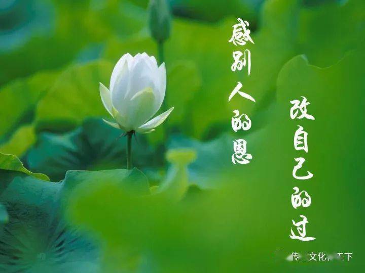 感恩节歌曲_感恩节歌曲大全_感恩节歌曲儿童