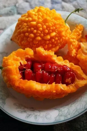 双人手机游戏解密_双人手机游戏有哪些_OP手机游戏双人