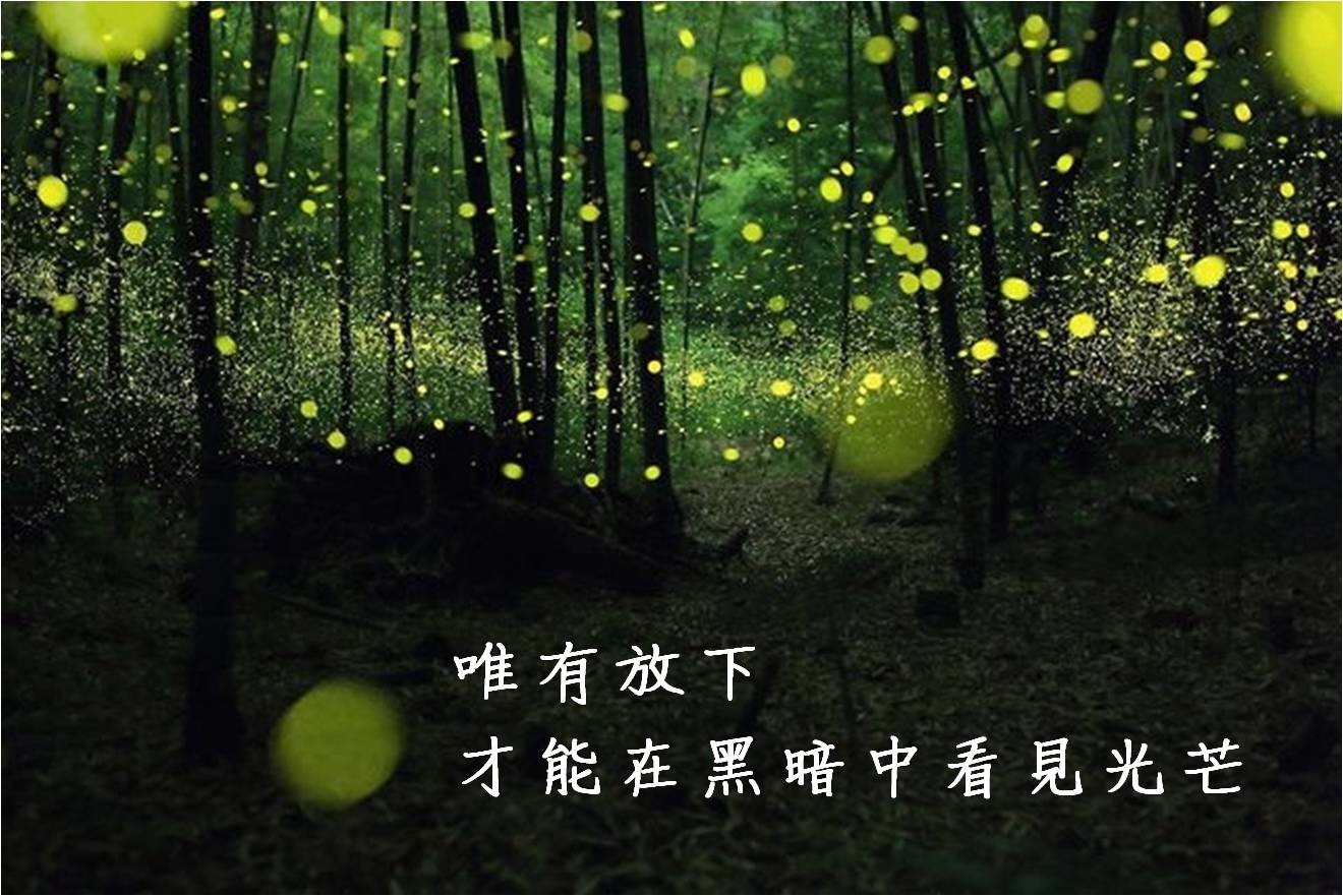 黯淡之刻的尽头打不开_自黯淡之刻的尽头_暗淡时刻的尽头