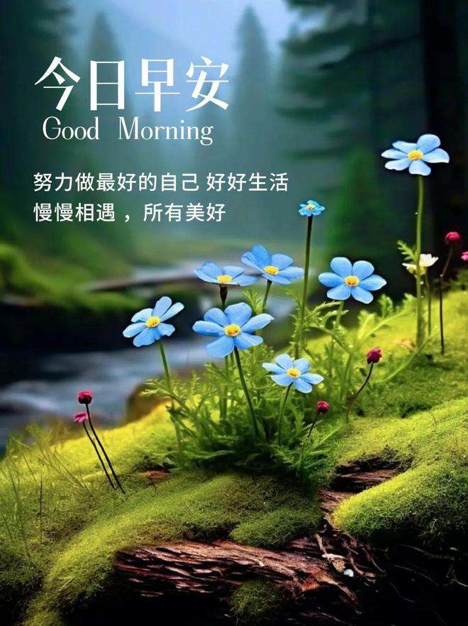 月经不调怎么办_9月26_月夜忆舍弟唐杜甫