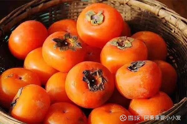 摧毁城市手机游戏怎么玩_摧毁城市手机版_摧毁城市手机游戏