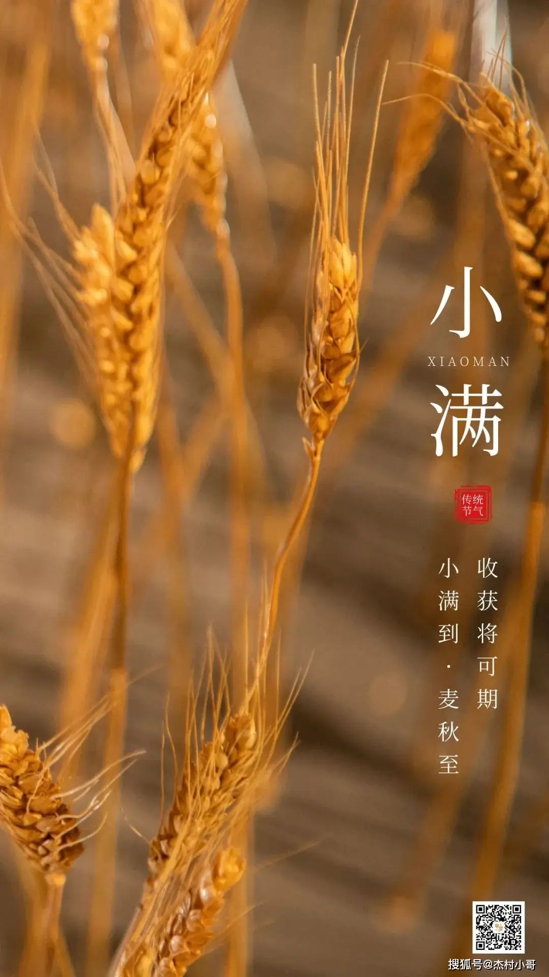 节气小满的来历及故事_节气小满_节气小满是啥意思
