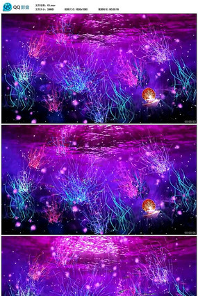 大白鲨游戏手机版下载_白鲨安卓下载安装_白鲨软件下载