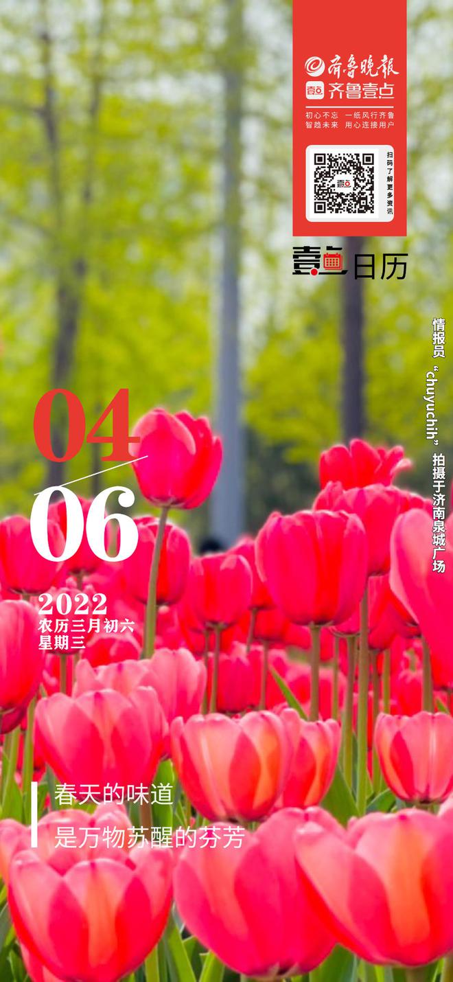 日历2019年黄道吉日_2019日历_日历2019年日历表图片高清