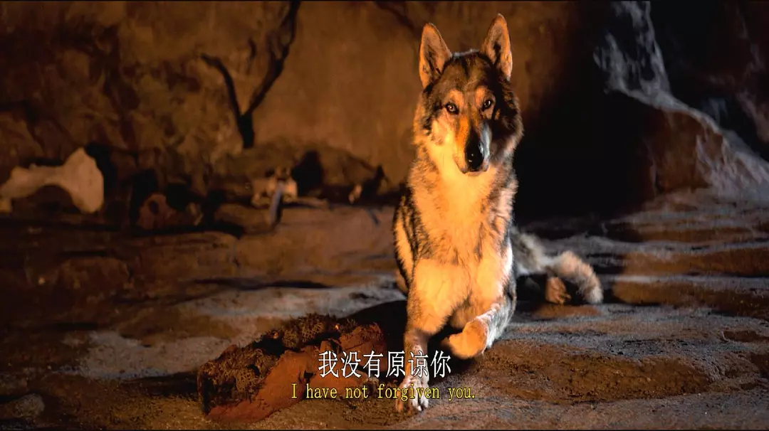 时代冰河中文版_时代冰河小说_冰河时代4