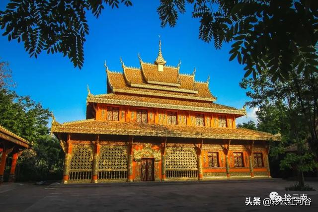 樱公馆人物_樱公馆icu_樱公馆