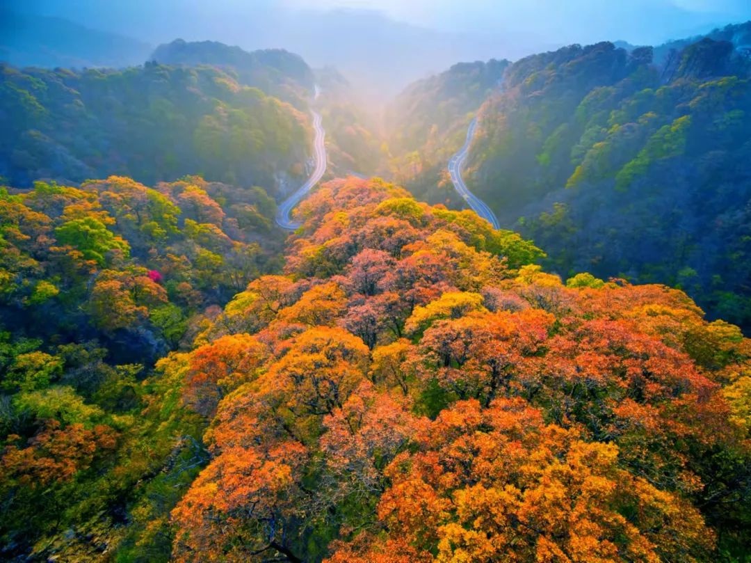 秋山枫_秋山枫_秋山枫